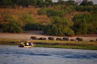 Bootsfahrt auf dem Chobe
