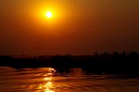 Bootsfahrt auf dem Chobe - Sonnenuntergang