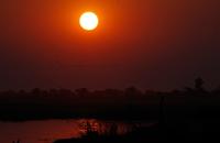 Bootsfahrt auf dem Chobe - Sonnenuntergang