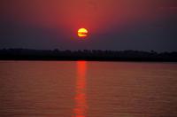 Bootsfahrt auf dem Chobe - Sonnenuntergang