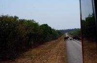 Auf dem Weg nach Simbabwe
