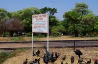 Simbabwe - Vic Falls