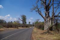 Simbabwe - auf dem Weg zur Lodge