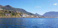 Hout Bay - Seal Island Tour