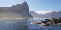 Hout Bay - Seal Island Tour