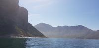 Hout Bay - Seal Island Tour