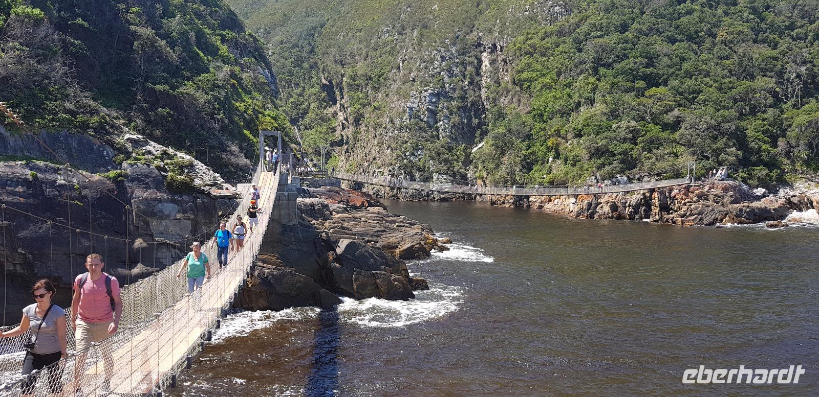 Spaziergang durch den Tsitsikamma Nationalpark