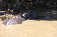 Bootsfahrt auf dem St.-Lucia-See