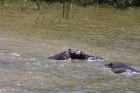 Bootsfahrt auf dem St.-Lucia-See