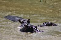 Bootsfahrt auf dem St.-Lucia-See