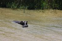 Bootsfahrt auf dem St.-Lucia-See