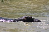 Bootsfahrt auf dem St.-Lucia-See