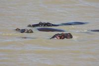 Bootsfahrt auf dem St.-Lucia-See