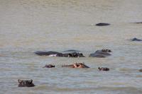 Bootsfahrt auf dem St.-Lucia-See