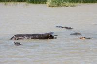 Bootsfahrt auf dem St.-Lucia-See