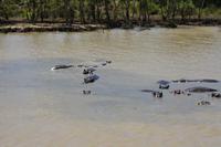 Bootsfahrt auf dem St.-Lucia-See
