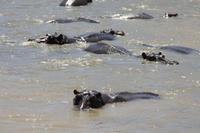 Bootsfahrt auf dem St.-Lucia-See