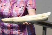 Bootsfahrt auf dem St.-Lucia-See