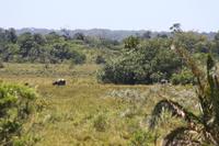 Bootsfahrt auf dem St.-Lucia-See