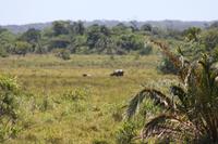 Bootsfahrt auf dem St.-Lucia-See