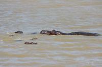 Bootsfahrt auf dem St.-Lucia-See