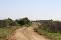 Safari im Hluhluwe Nationalpark