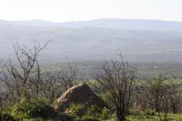 Safari im Hluhluwe Nationalpark