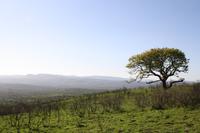 Safari im Hluhluwe Nationalpark