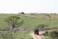 Safari im Hluhluwe Nationalpark