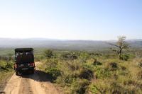 Safari im Hluhluwe Nationalpark