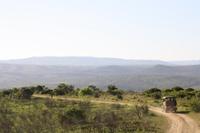Safari im Hluhluwe Nationalpark