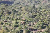 Safari im Hluhluwe Nationalpark