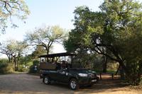 Safari im Hluhluwe Nationalpark