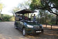 Safari im Hluhluwe Nationalpark