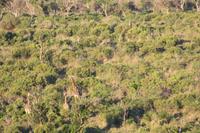 Safari im Hluhluwe Nationalpark