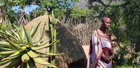 Swaziland - Mantenga Village