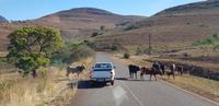 Weiterfahrt in Richtung Kruger Nationalpark