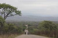 Safari im Kruger Nationalpark