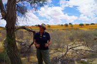 Kalahari - Konny und der Kameldornbaum