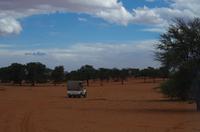 Rundfahrt in der Kalahari