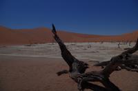 Sossusvlei -  Dead Vlei