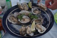 Walvis Bay - frische Austern