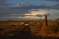Nature Drive  - Sonnenuntergang