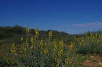 Unterwegs in Namibia