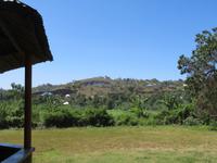 Spaziergang Kaffee-Plantage