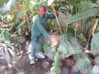 Spaziergang Kaffee-Plantage