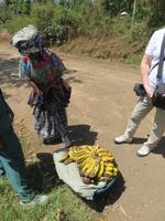 Spaziergang Kaffee-Plantage - Obsthändlerin
