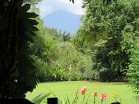 Moivaro Coffee Plantation Lodge - Blick zum Mount Meru