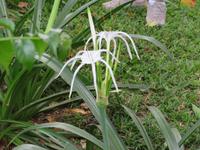 Wanderung um den Dulutisee -