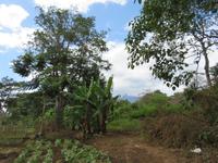 Wanderung um den Dulutisee -